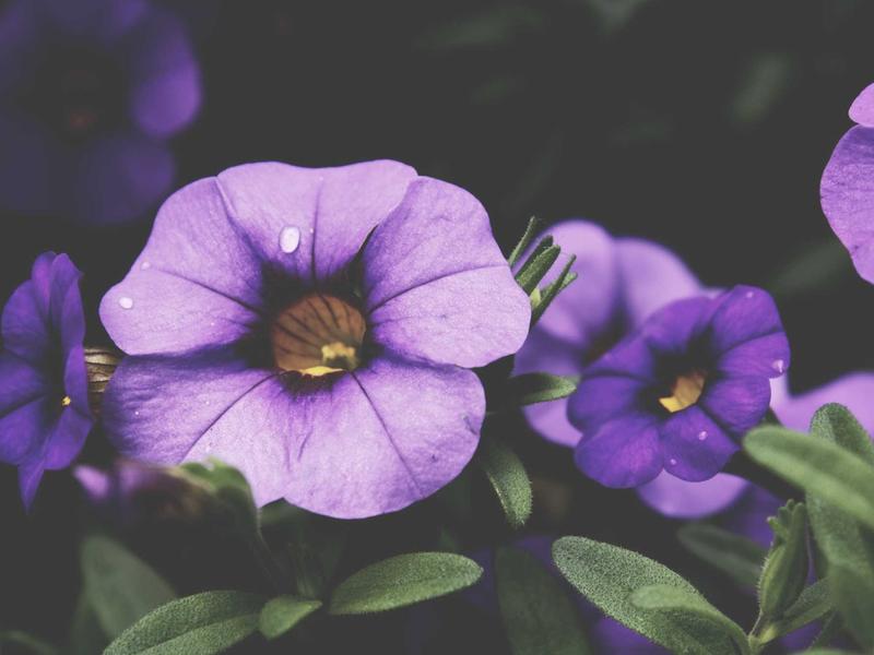 sudoku learning tool screenshot 2